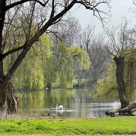 Strasbourg, Appartement Cosy Au Bord De L Eau מראה חיצוני תמונה