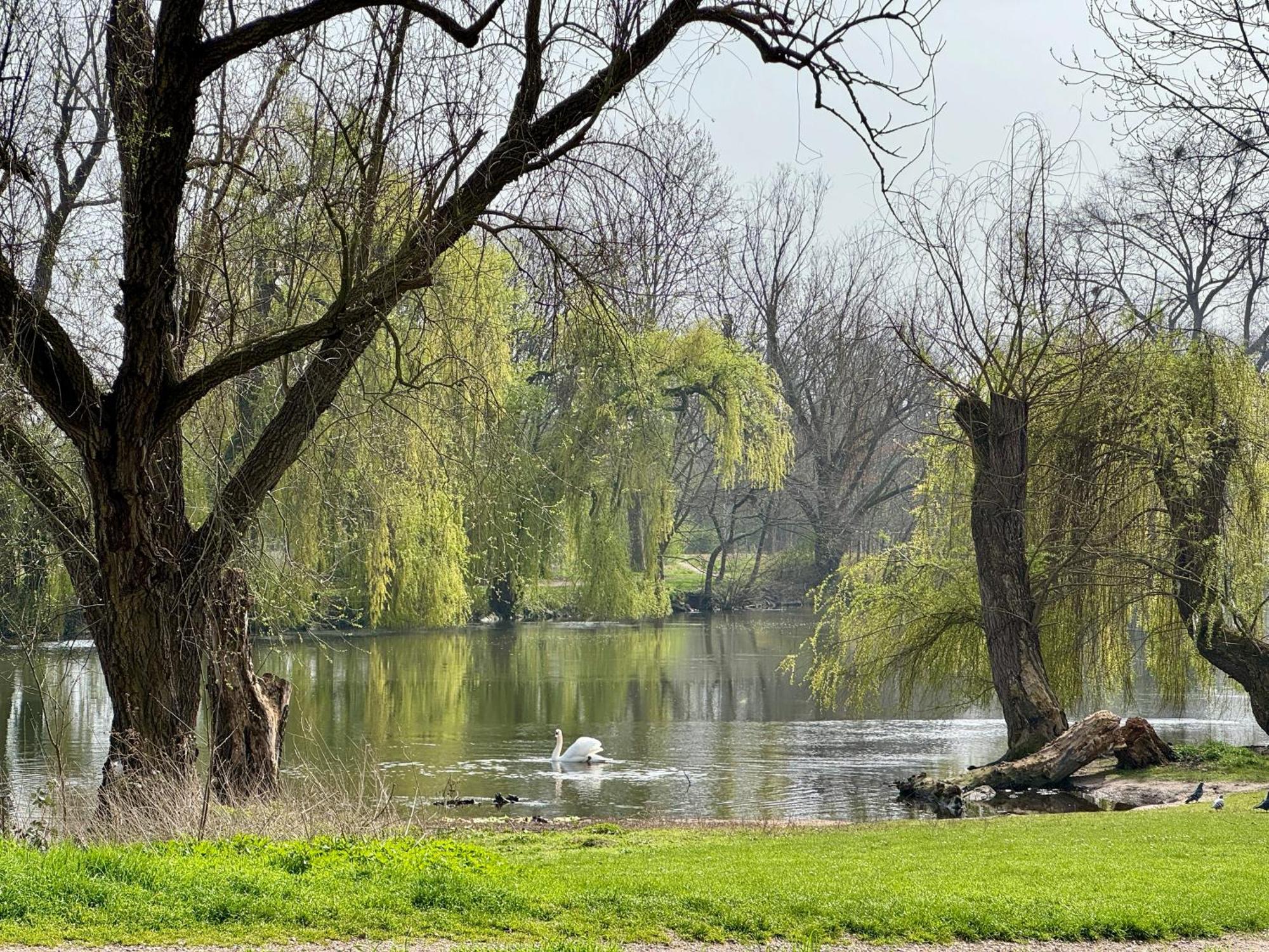 Strasbourg, Appartement Cosy Au Bord De L Eau מראה חיצוני תמונה
